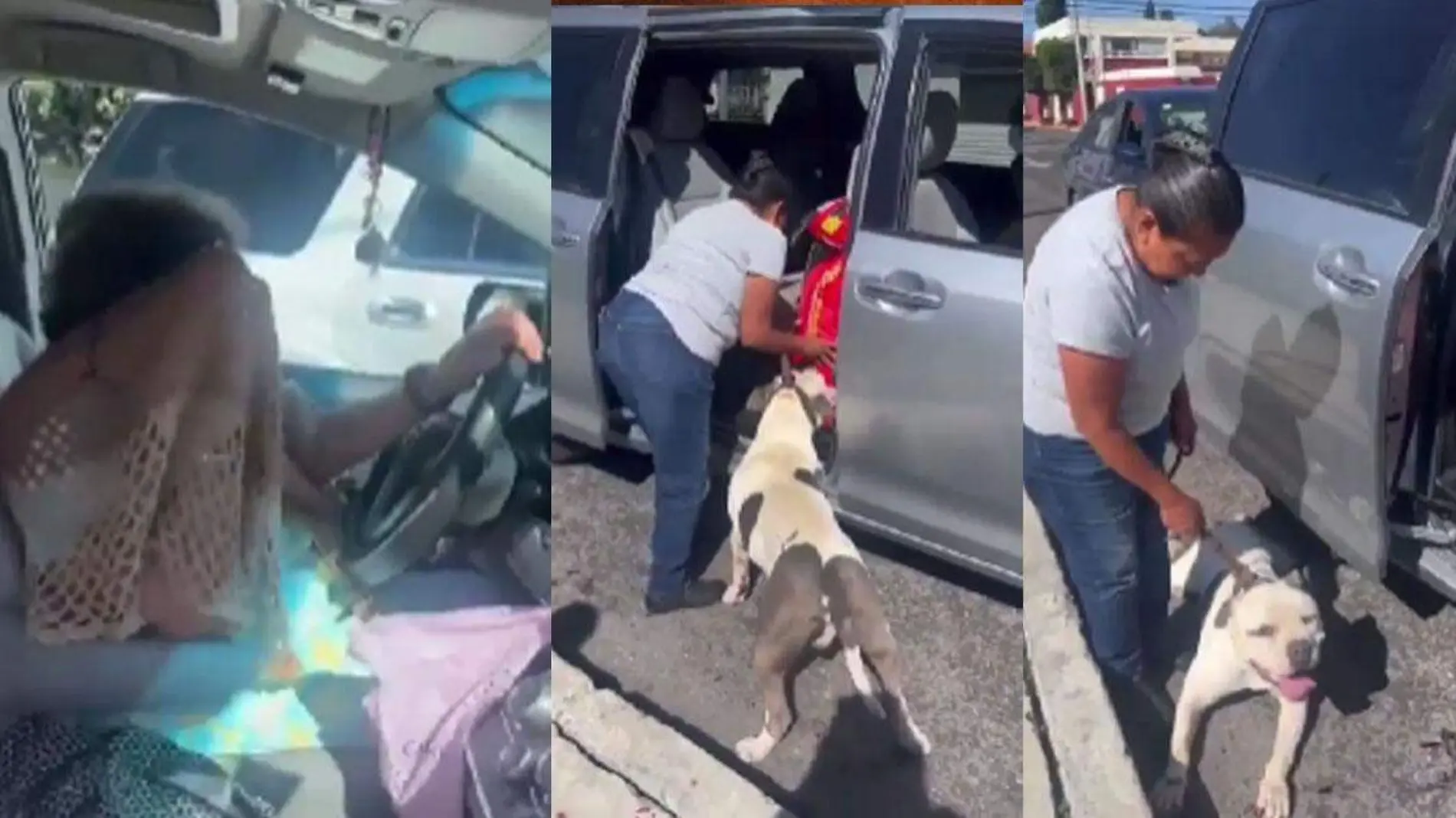 muejer arrastra a su perro con su camioneta en Puebla